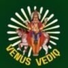 venusvediq